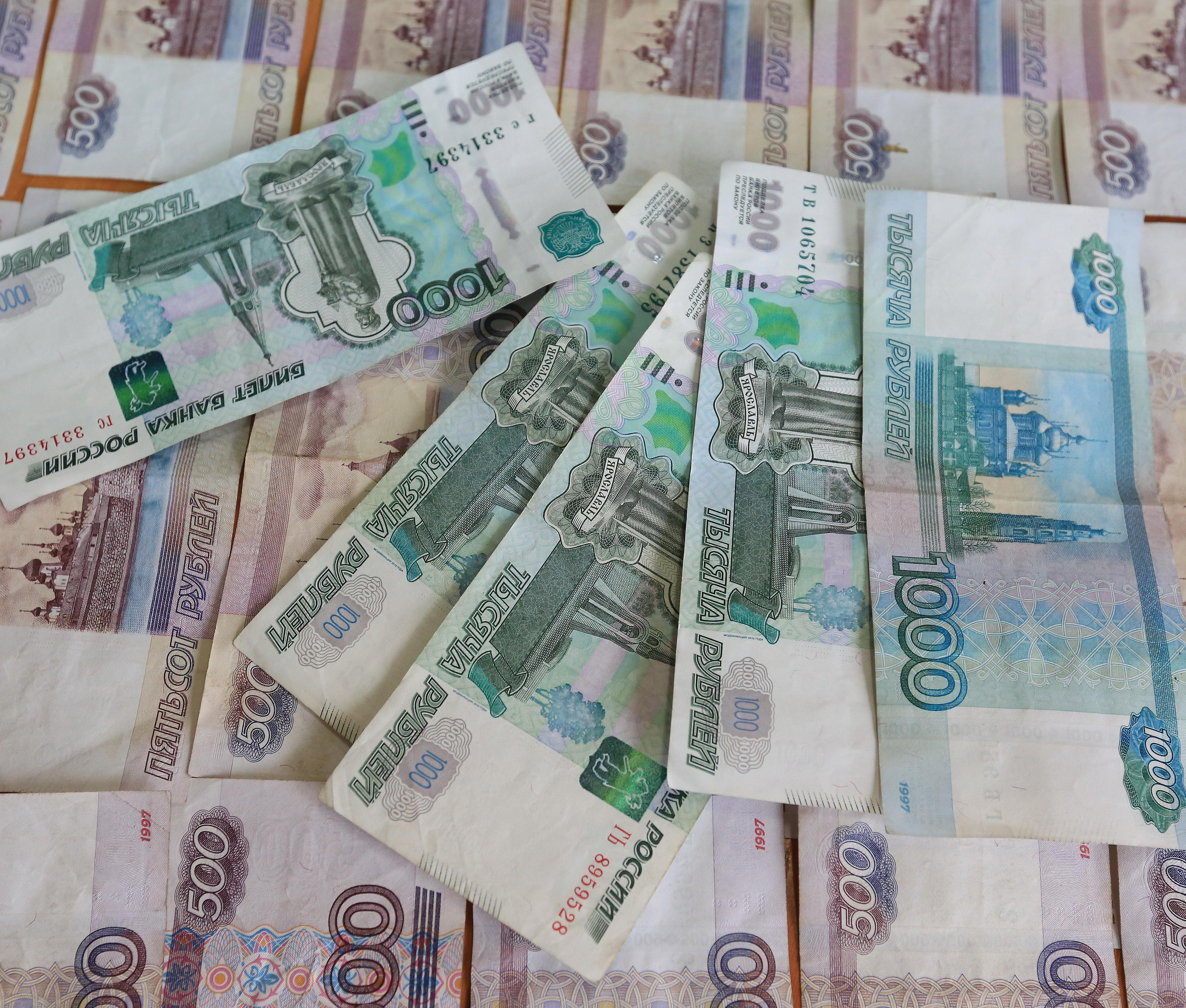 Хвостатый Робин не дал вывезти 780 тысяч из Новосибирска в Узбекистан