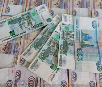 Хвостатый Робин не дал вывезти 780 тысяч из Новосибирска в Узбекистан