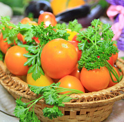 Почему в Сибири сложно стать веганом — отвечает нутрициолог