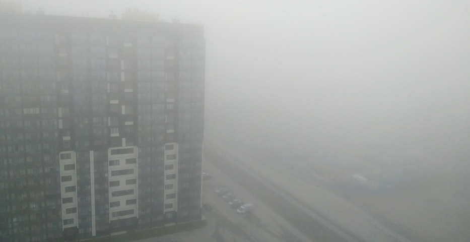 Густой туман в Новосибирске значительно ухудшил видимость на дорогах