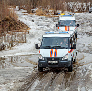 Гулявших по льду восьмерых детей спасли в Новосибирске