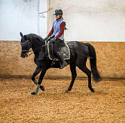 «Лошади — чистый лист бумаги»: как обучают верховой езде в Новосибирске
