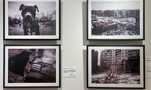 Мэр Кудрявцев посоветовал новосибирцам сходить на выставку об СВО