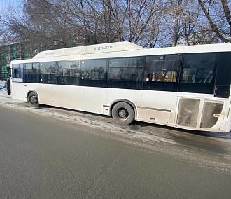 Два новых автобуса запустили между Новосибирском и Криводановкой