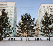 Если вы пропустили: собачьи танцы, грибная ферма и прогулка по «Бронксу»