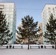 Если вы пропустили: собачьи танцы, грибная ферма и прогулка по «Бронксу»