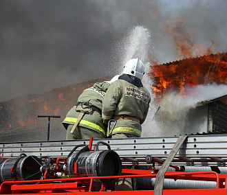 Реальные сроки назначили виновникам пожара на фабрике под Новосибирском