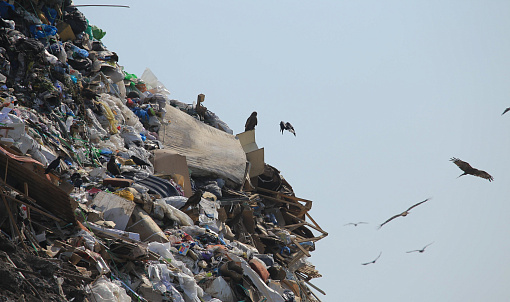 Закрытый мусорный полигон в Пашино в 2023 году рекультивируют