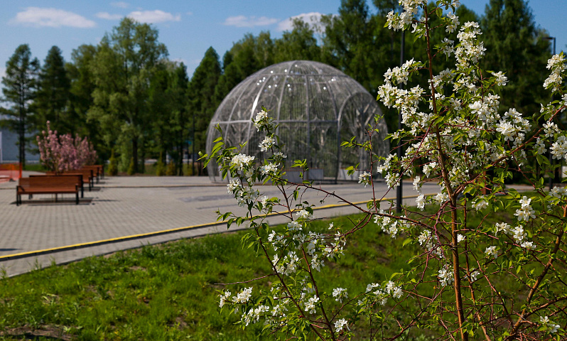 Зелёный Новосибирск: чем привлекает горожан парк возле нового ЛДС