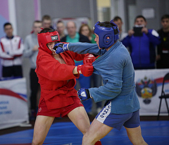 Кубок мэра по боевому самбо завоевали новосибирские спортсмены