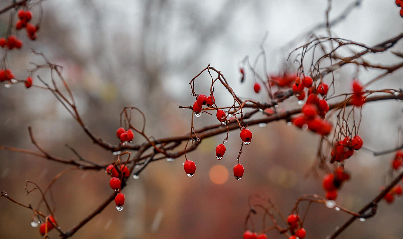 Синоптики предупредили новосибирцев о капризной погоде до конца ноября