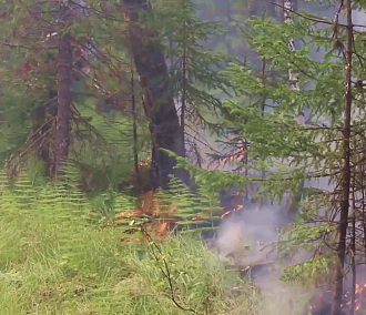Десантники из Новосибирской области вылетели на тушение пожаров в ХМАО