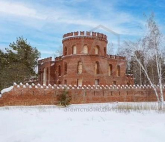 «Старинный» замок продают за 79 млн в клубном посёлке под Новосибирском