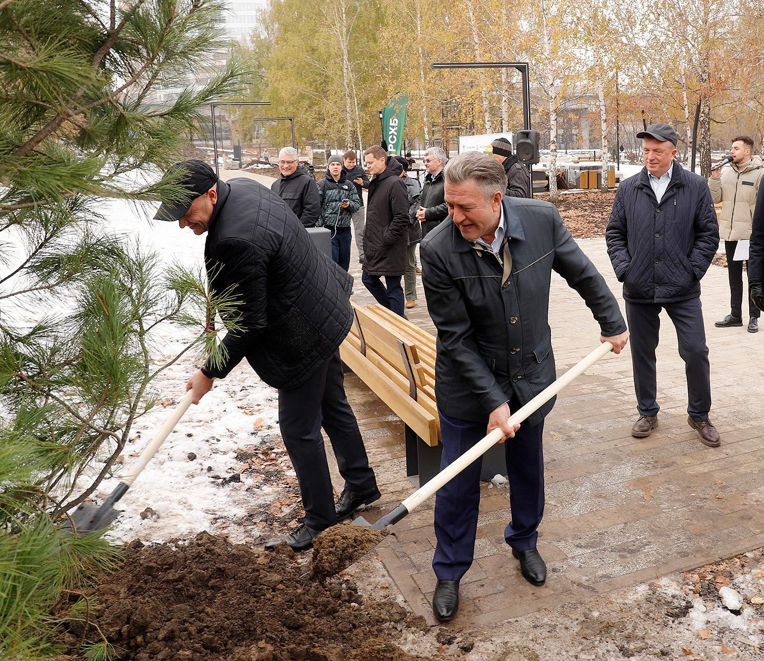 Сибирские кедры высадили в новом парке у заксобрания в Новосибирске
