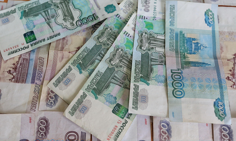 Хвостатый Робин не дал вывезти 780 тысяч из Новосибирска в Узбекистан