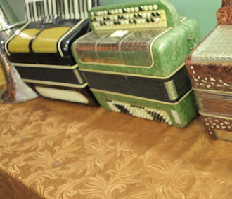 Самые музыкальные семьи выступят на концерте в Октябрьском районе