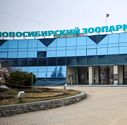Зоопарку разрешили построить вольер для карликовых бегемотов и медоедов