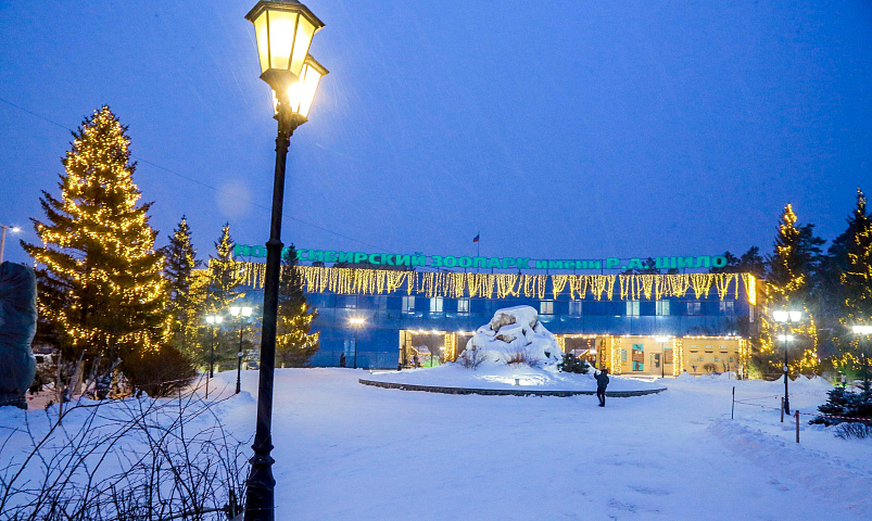 В Новосибирске ищут монтажников отопления в доме для карликовых бегемотов