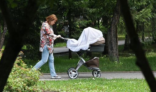 Полмиллиарда перечислили родителям младенцев в Новосибирской области