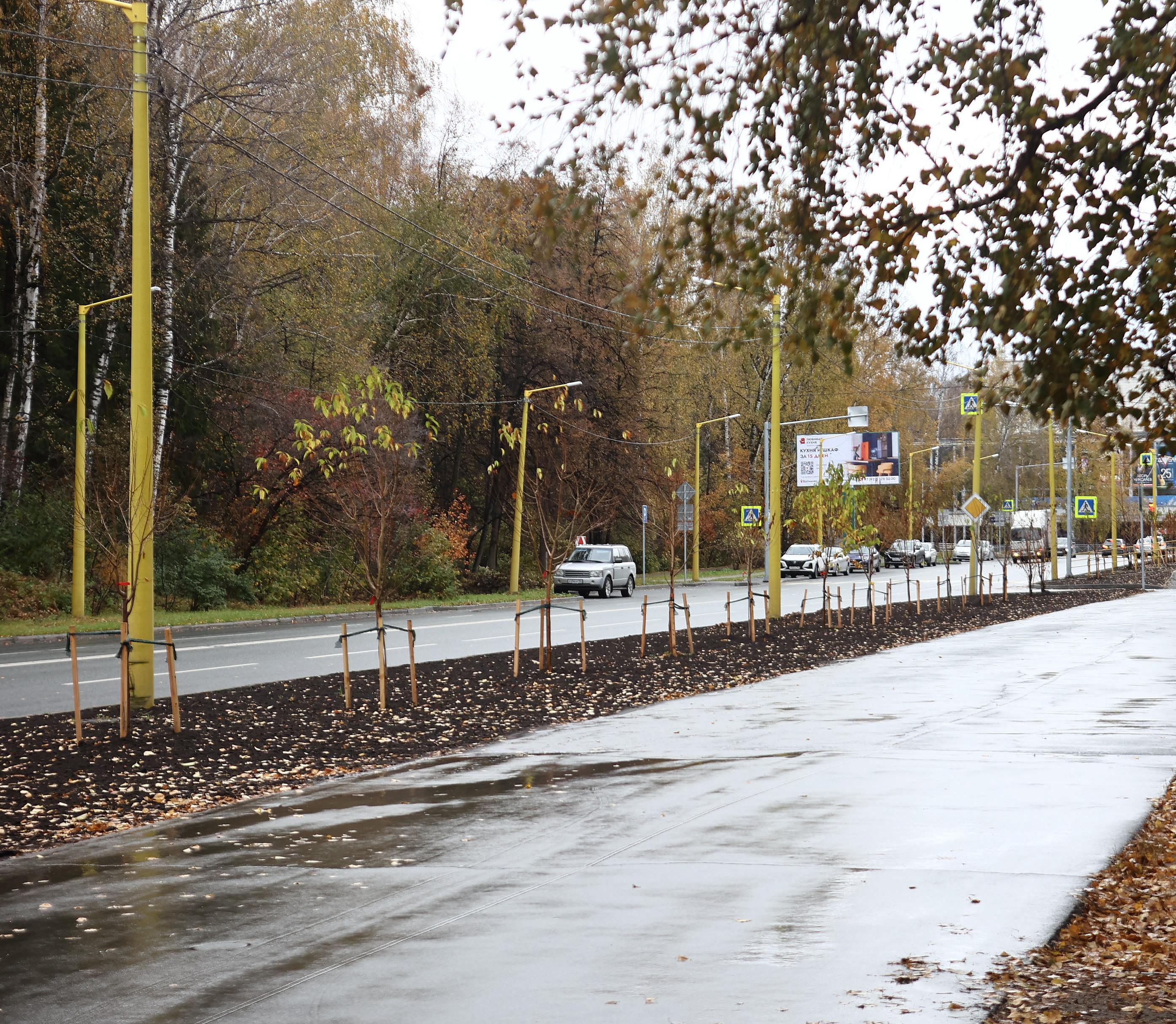 Яблони, ивы и черёмухи: 1346 деревьев и кустов украсили Советский район