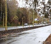 Яблони, ивы и черёмухи: 1350 деревьев и кустов украсили Советский район