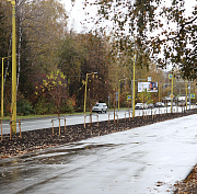 Яблони, ивы и черёмухи: 1346 деревьев и кустов украсили Советский район
