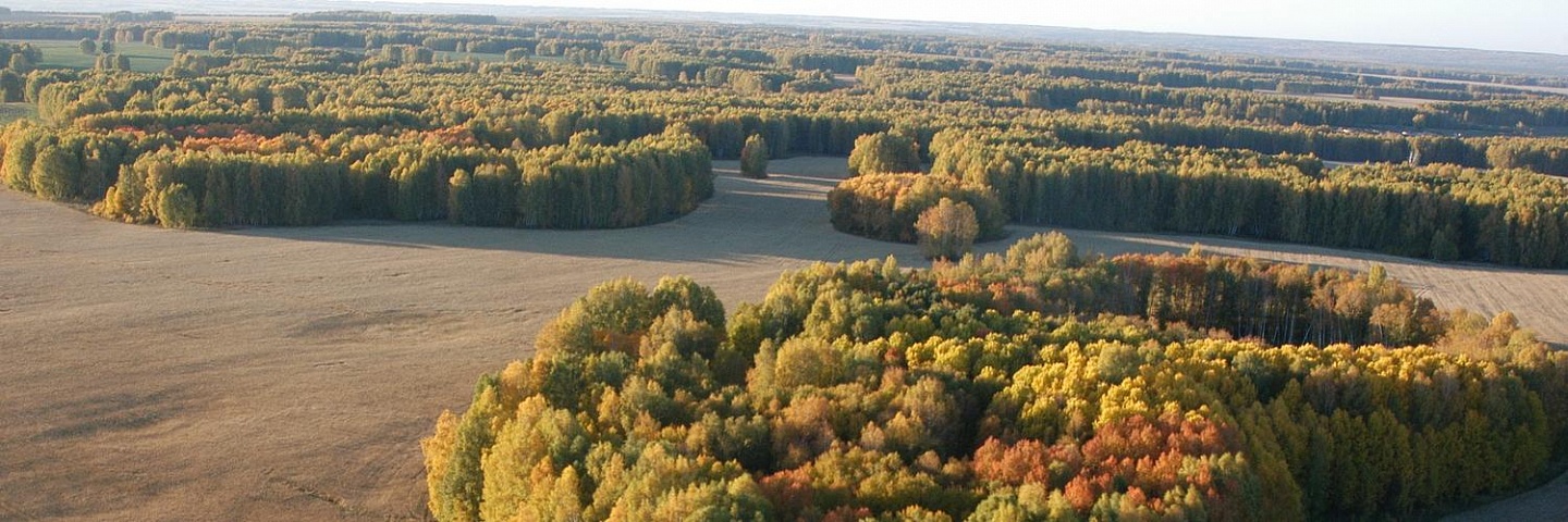 Краснообск парк синягина фото