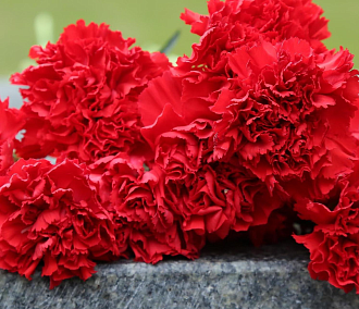 Умер бывший начальник УВД Новосибирской области