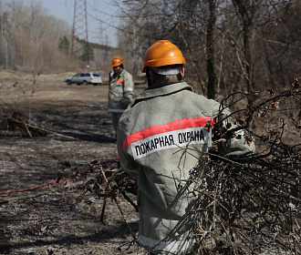 Банда вымогателей сожгла посевы у агрария в Новосибирской области