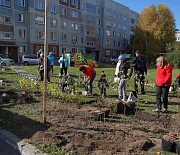 ТОСы создают мини-парк в Новосибирске после курсов ландшафтного дизайна