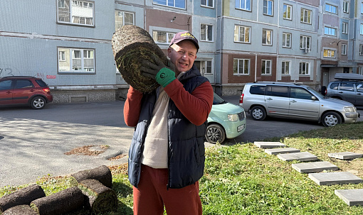 ТОСы создают мини-парк в Новосибирске после курсов ландшафтного дизайна