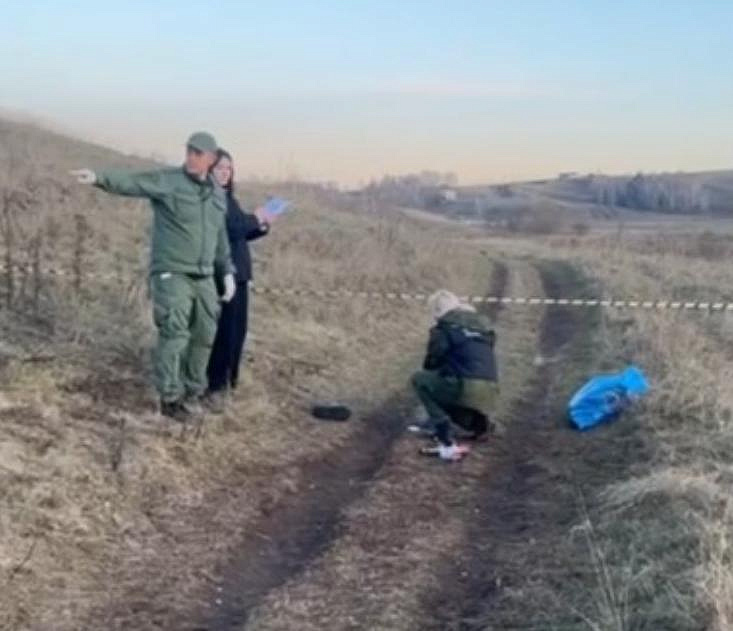 Мёртвого ребёнка с укусами нашли в сибирском поле: позиция зоозащитников (18+)