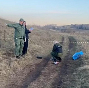 Мёртвого ребёнка с укусами нашли в сибирском поле: позиция зоозащитников
