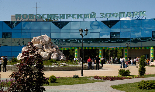 Как помочь Новосибирскому зоопарку после пожара — ответ коллектива