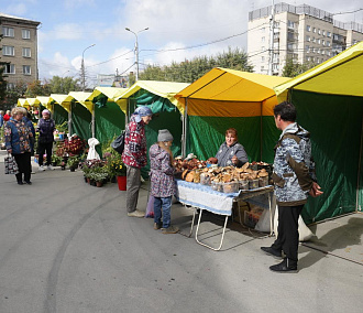 Сибирские садоводы показали на ярмарке арбузы и фиолетовые томаты