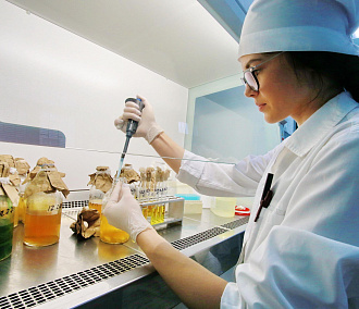 Лабораторию для особо опасных болезней животных откроют в Новосибирске