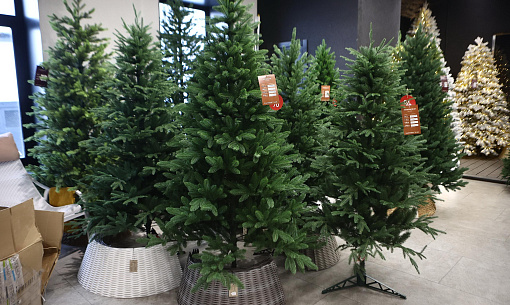 Прослужит десятилетия: как выбрать искусственную ёлку и ухаживать за ней