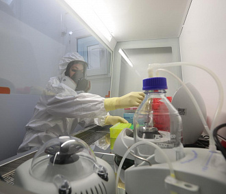 Новые ковид-лаборатории открыли в Новосибирской области