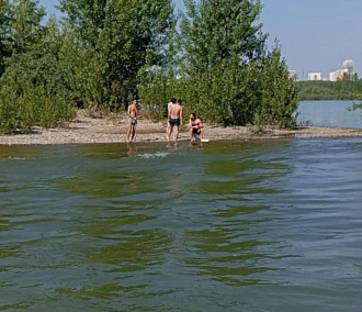 Спасатели помогли добраться до берега шестерым уставшим пловцам