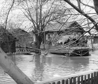 Кинохроники опубликовали видео потопа 1966 года в Новосибирске