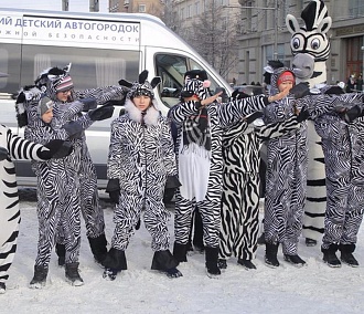 Дети-зебры станцевали на празднике ГИБДД