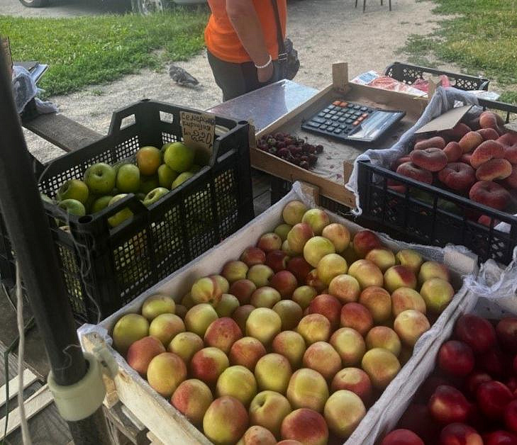 Торговцев овощами и фруктами выгнали с газонов в Калининке