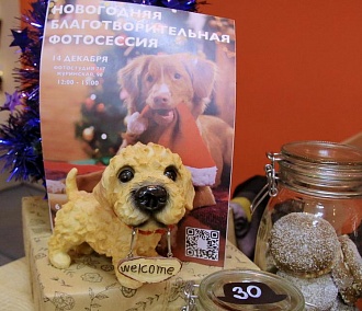Пёсокафе в Новосибирске устроило распродажу ради обиженных собак