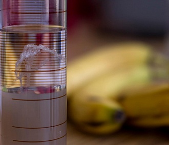 Извлекать ДНК из банана учат в «Школе системной биологии»
