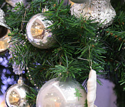 Ажиотажный спрос на новогодние корпоративы устроили новосибирцы