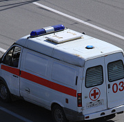 Дерево рухнуло на 25-летнего новосибирца на Новогодней