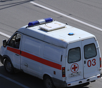 Дерево рухнуло на 25-летнего новосибирца на Новогодней