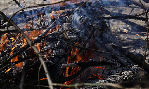 Число пожаров из-за палов травы выросло в 2,5 раза в Новосибирске