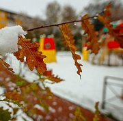 Именами прославленных новосибирцев назвали три улицы в Клюквенном