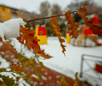 Именами прославленных новосибирцев назвали три улицы в Клюквенном